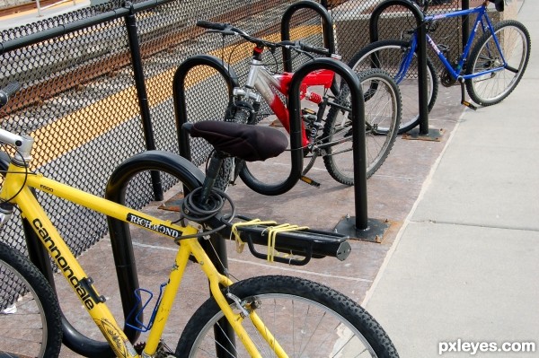 Primary Bicycles